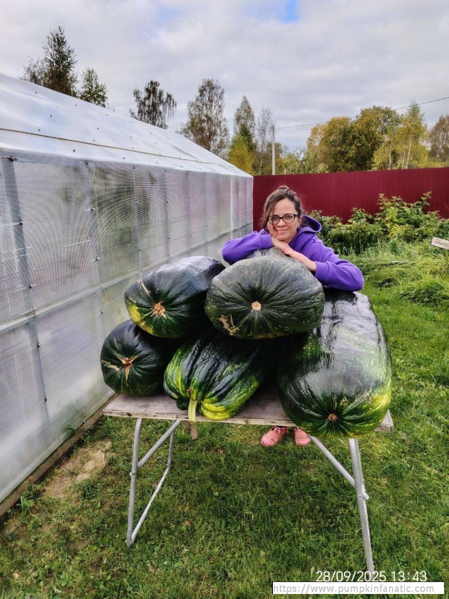 110.23 Dogadaeva 2025